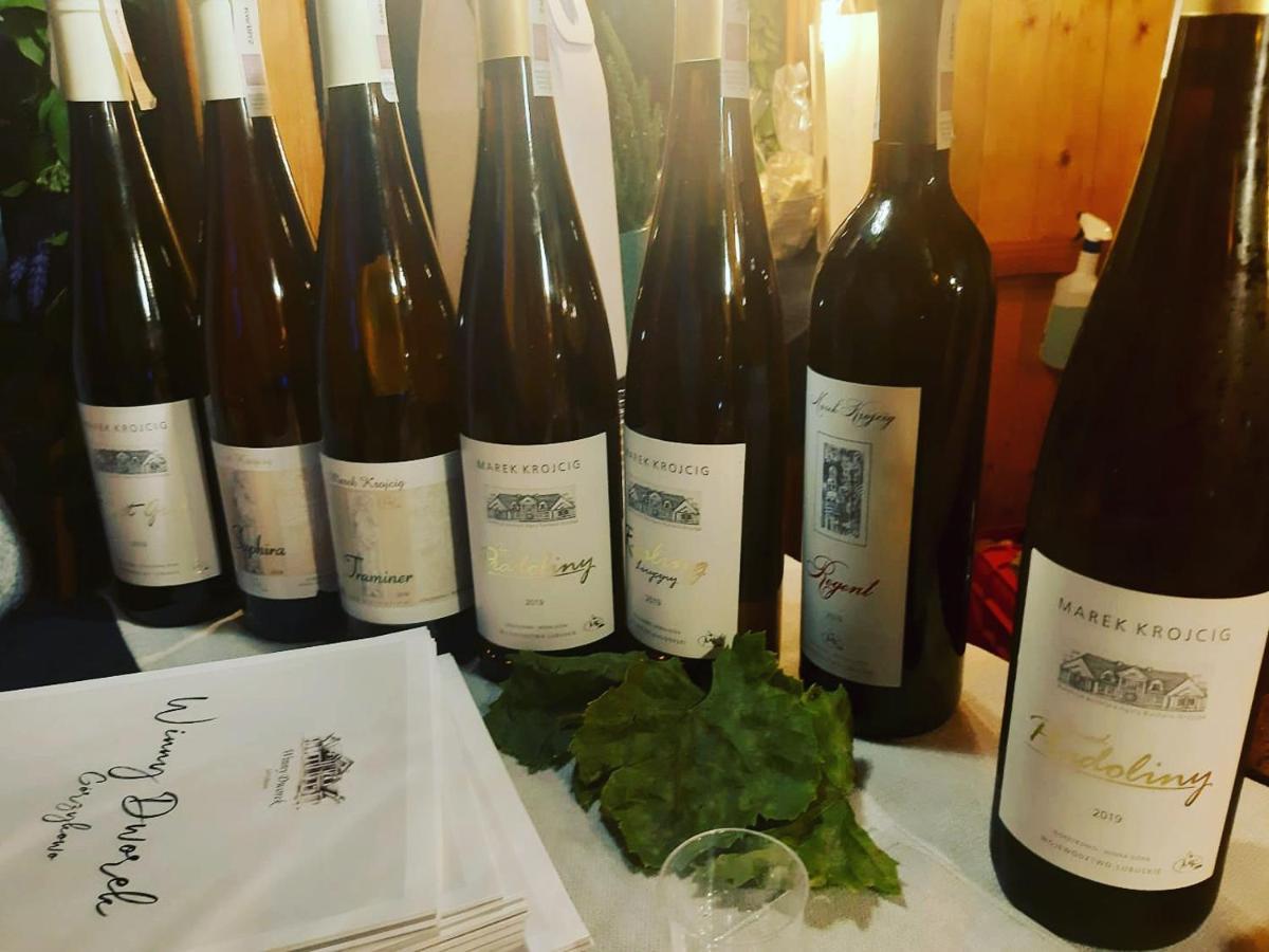 Domek Franianiesulice Εξωτερικό φωτογραφία
